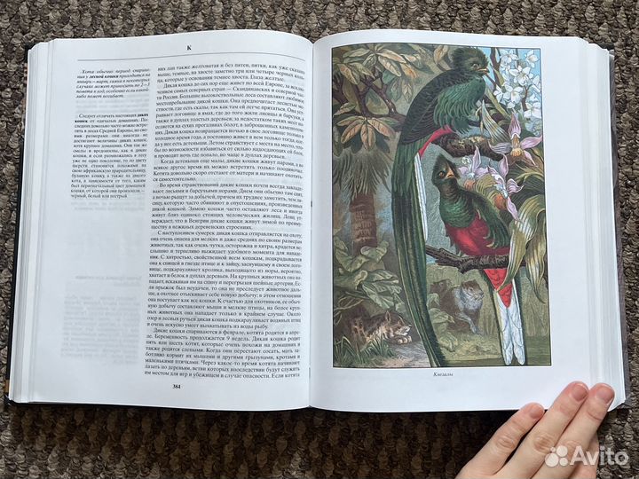 Книга жизнь животных