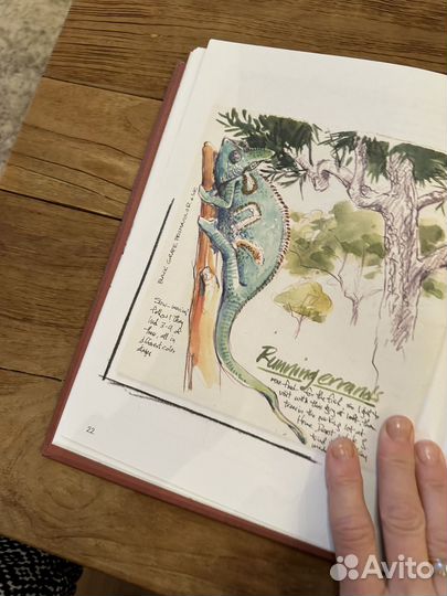 Книги по акварели