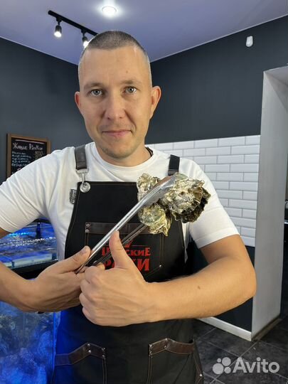 Живые устрицы Дальневосточные