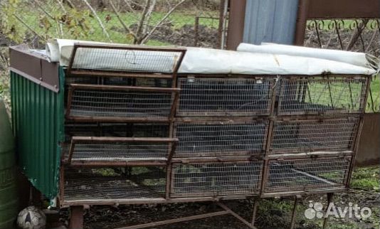 Клетка для перевозки кур