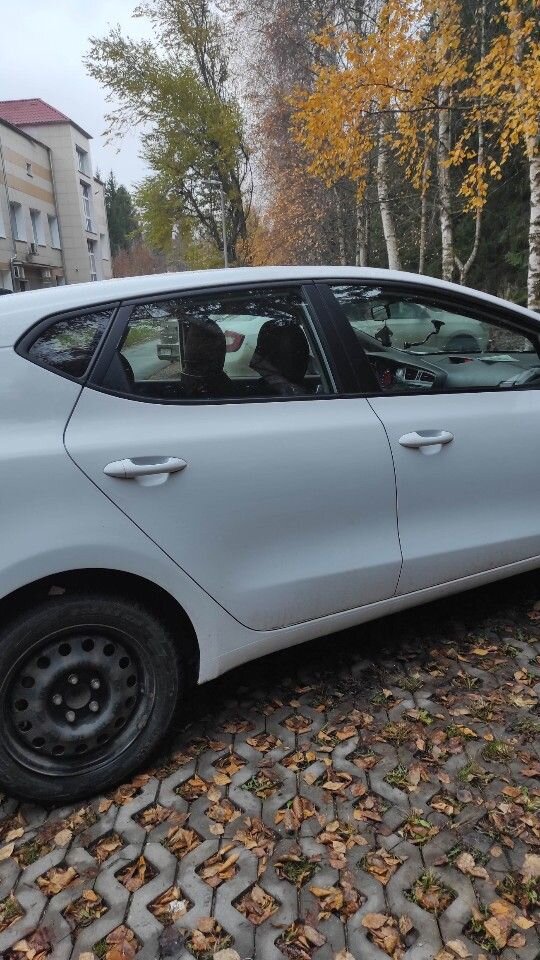 Kia Ceed: фото владельца