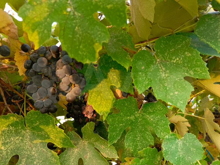 Дом 45 м² на участке 34 сот.