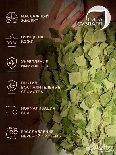 Веники для бани и сауны 2 штуки