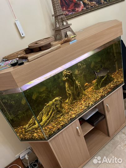 Аквариум