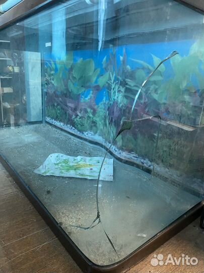 Аквариум