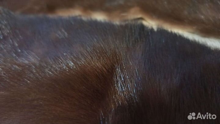 Воротник норковый советский 2 шт