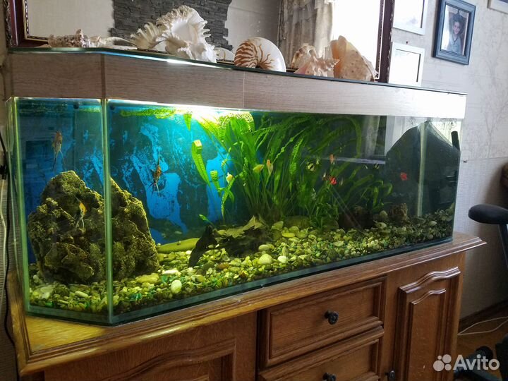 Продается аквариум 250 л