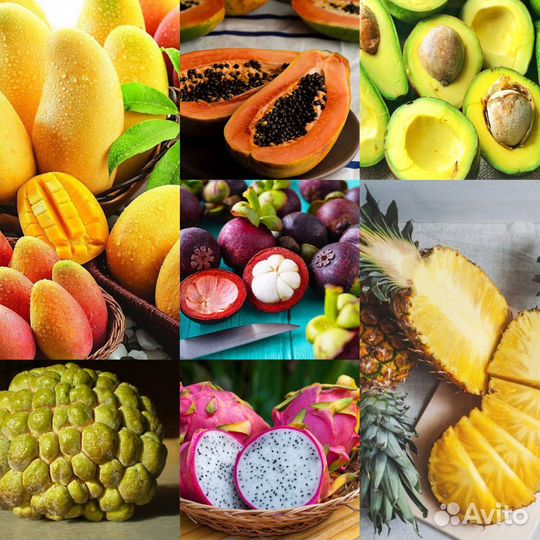 Манго, драгон, Питахайя,мангостины, папайя