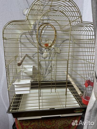 Клетка для попугая