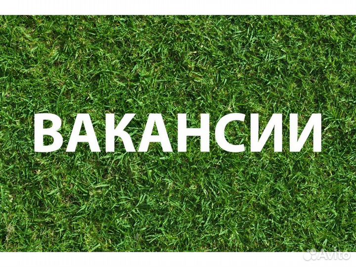 Упаковщик производство вып.еженед. График №16