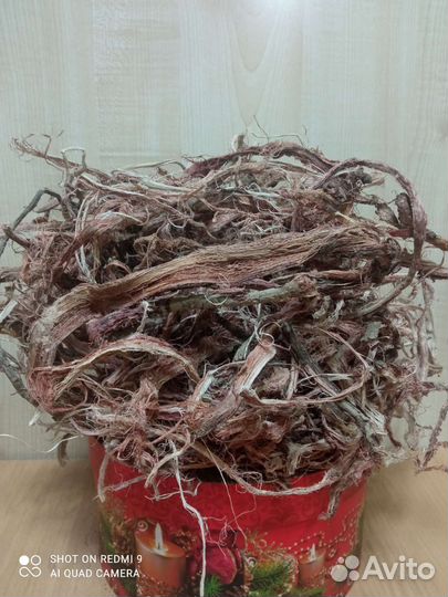 Красный корень