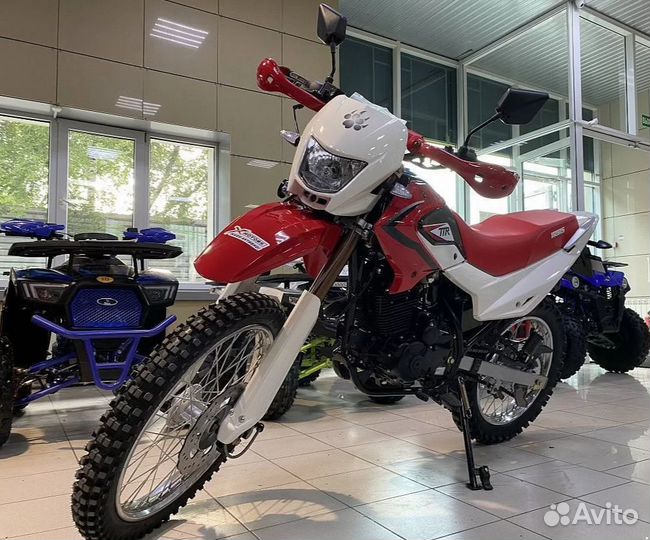 Irbis TTR 250R 2023 (172FMM-5/PR250) RED