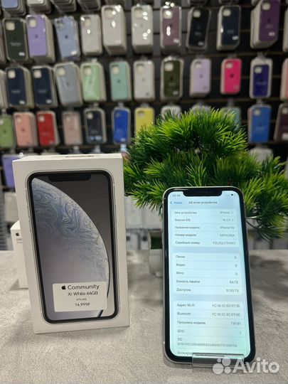 iPhone Xr, 64 ГБ