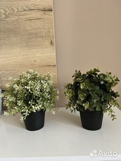 Искусственные цветы IKEA фейка