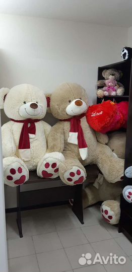 Мишки и акулы плюшевые