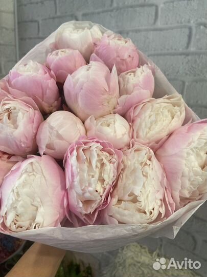 Цветы пионы и букеты с доставкой