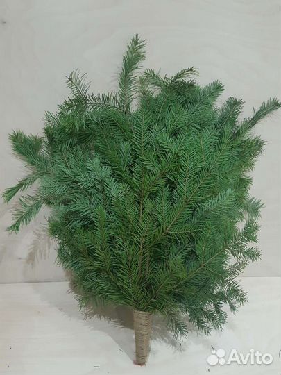 Веники для бани,травы