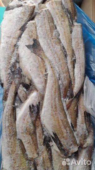 Минтай Б/Г свежемороженый