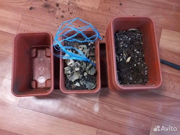 Горшки для цветов с подставкой