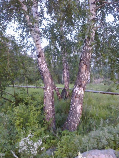 Участок 5,1 га (СНТ, ДНП)