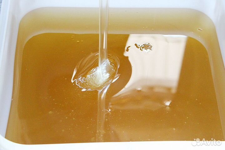 Донниковый мёд Качка 2023 г Опт