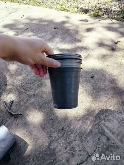 Стаканы для рассады