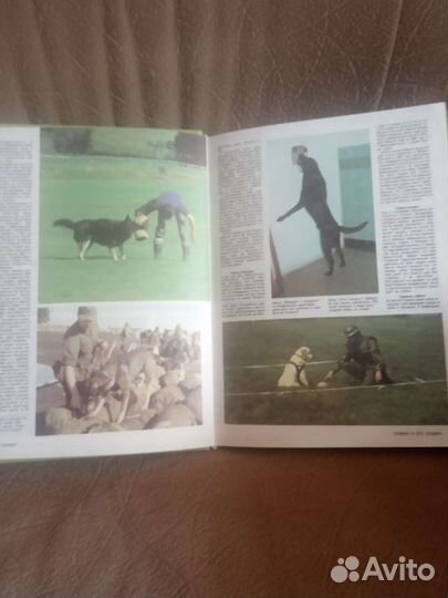 Книги о дрессировке собак