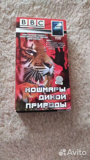 Кошмары дикой природы