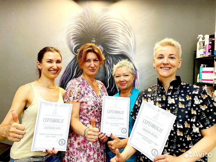 Обучение грумингу