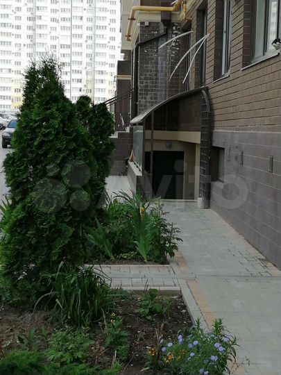 Апартаменты-студия, 18,4 м², 1/9 эт.