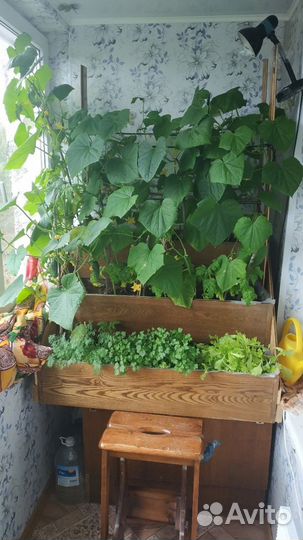 Фитолампа uniel LED-15W полного спектра + биколор