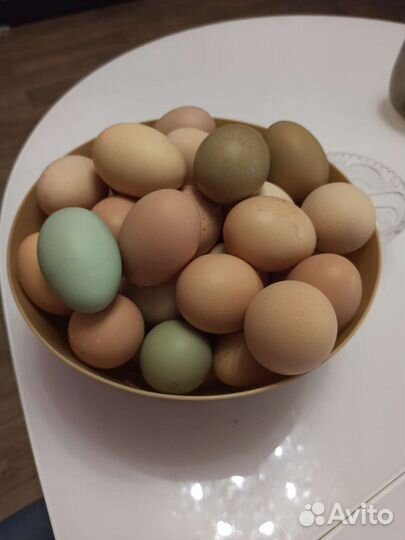 Домашние куриные яйца