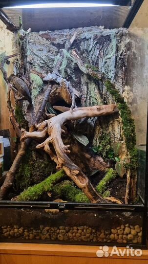 Чистка террариумов\уход за экзотическими животными