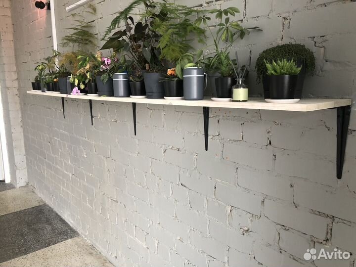 Полка для цветов