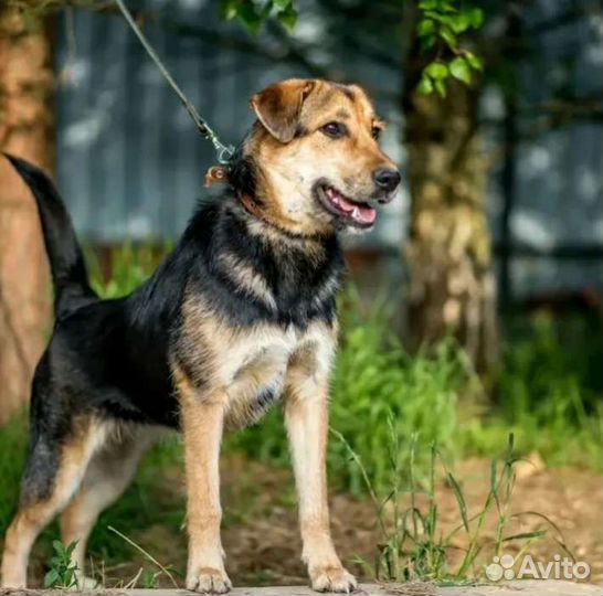 Лана душа компании