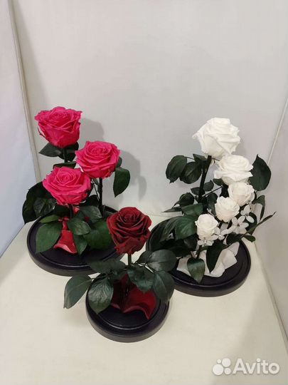 Роза в колбе