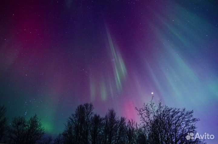 В погоне за Авророй с местным гидом