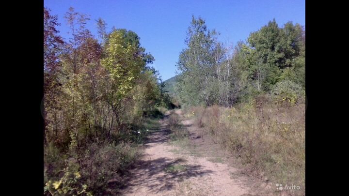 Участок 25 сот. (ИЖС)