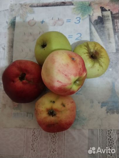 Золотое яблоко