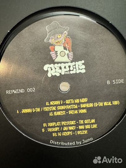 Виниловые пластинки Repwind 002 от Reptile Mob