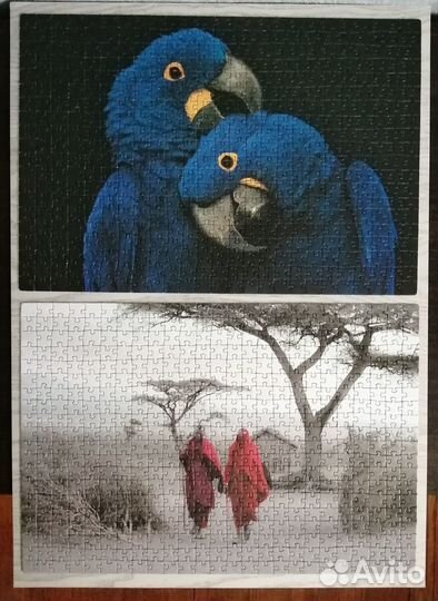 Пазлы Hatber, 500, 1500