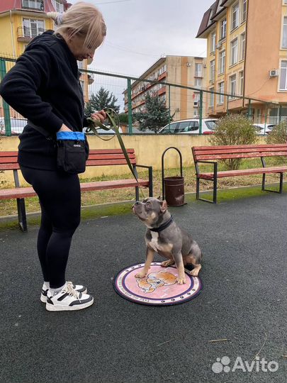 Передержка Кинологическая
