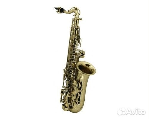 Roy Benson AS-201, Eb альт-саксофон (детский)