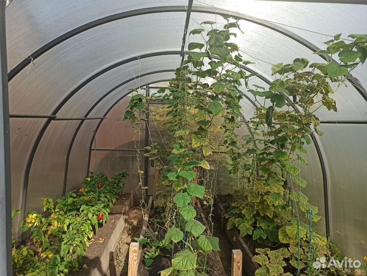 Теплицы из поликарбоната 3х4