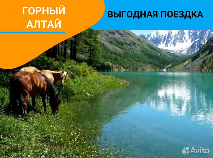 Турпутевка Горный Алтай от 1-го чел