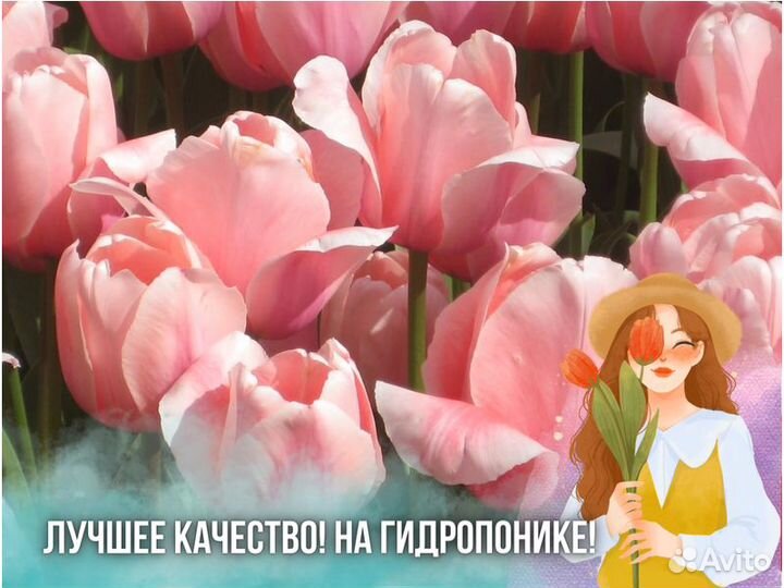 Тюльпаны оптом к 8 марта