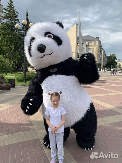 Панда поздравление