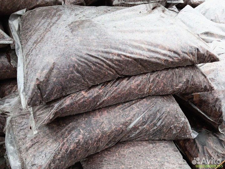 Лиственница: кора для здоровья и красоты