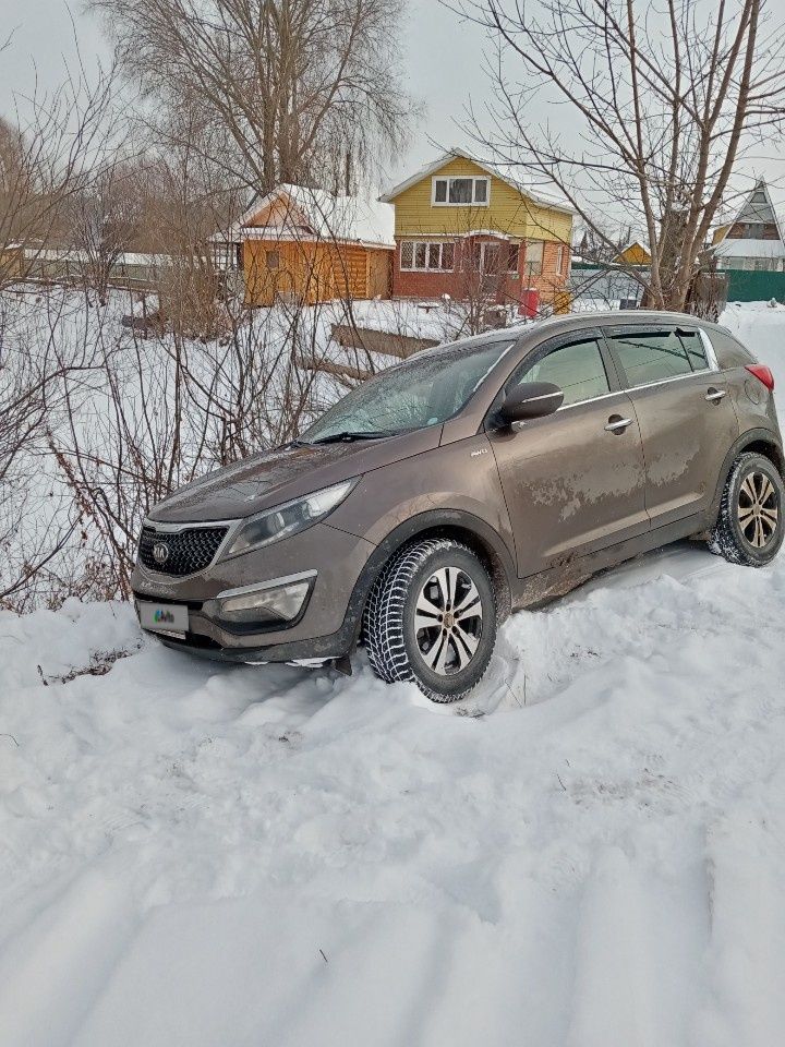 Kia Sportage: фото владельца