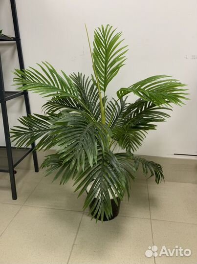 Зеленый декор для дома